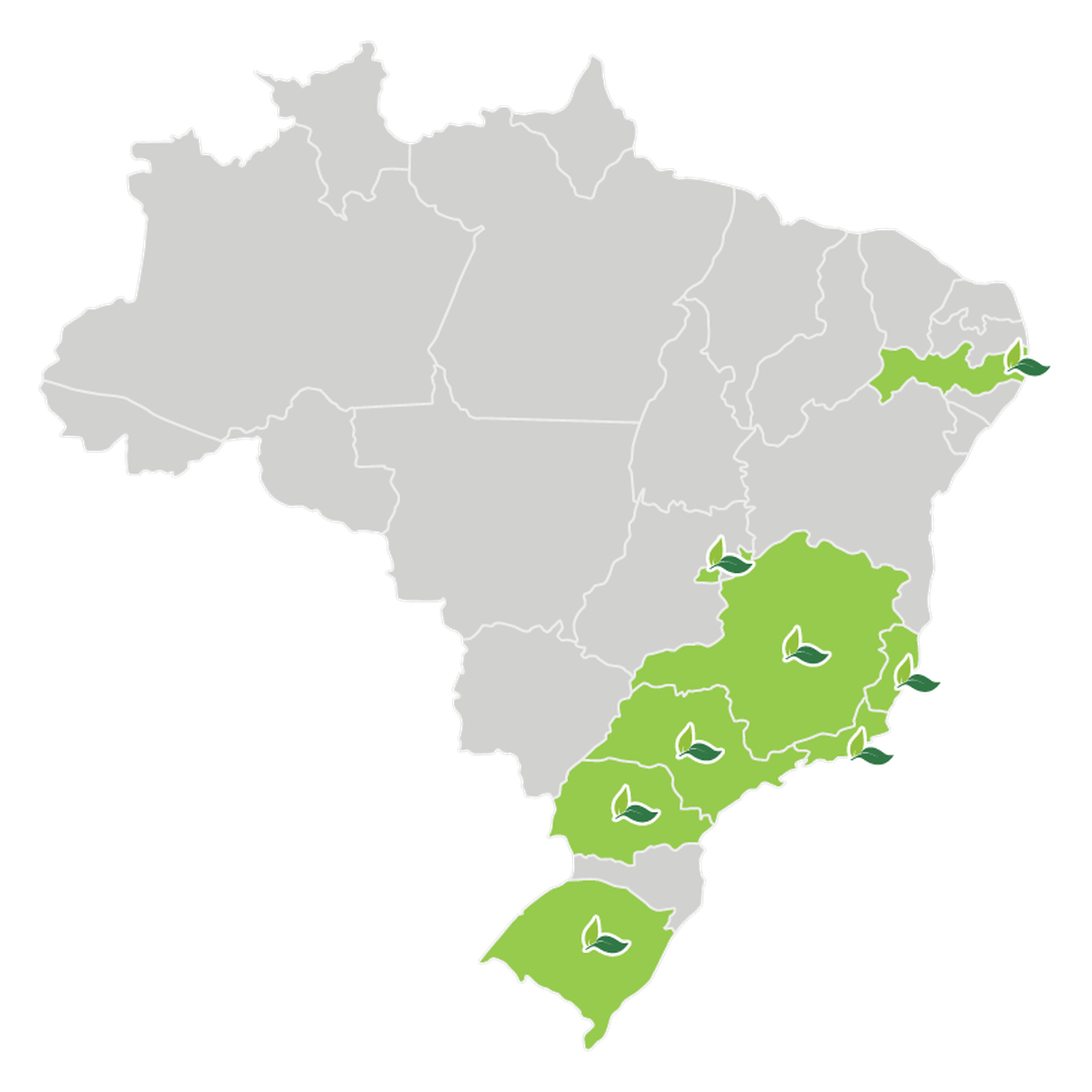 Mapa de atuação da MedSênior no Brasil